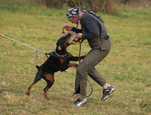 Training in Prague - defence - 10/2006